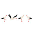 stork vector image