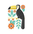 drawing of toucan vector image
