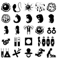 pregnancy icons vector image