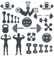 fitness gym icons vector image
