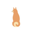 brown dog and shiba inu pet sitting or standing vector image