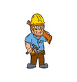 carpenter builder hammer wood plank cartoon vector image
