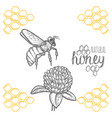 hand drawn bee and clover over white background vector image