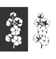 cotton plant vector image vector image