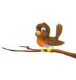 cute robin sitting on a tree branch vector image vector image