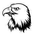 drawing a black head eagle vector image