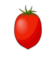 fresh red tomato with green stem isolated on white vector image