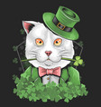 st patrick s day cute cat vector image