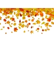 background of autumn leaves eps 8 vector image