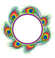 frame with peacock feathers vector image