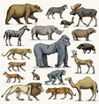 gorilla moose or eurasian elk camel and deer vector image