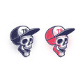 skull in a baseball cap vector image