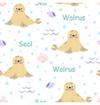 cartoon seamless pattern with seal vector image vector image