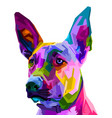 colorful belgian malinois dog isolated on pop art vector image vector image