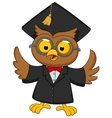 wise owl vector image