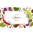 spice horizontal banner vector image vector image
