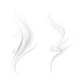 smoke isolated on white background vector image