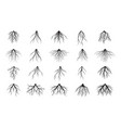 set white tree roots outline vector image vector image