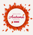 autumn sale round banner with leaves seasonal vector image