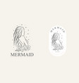 beauty mermaid logotype designgirlsea and palm vector image vector image