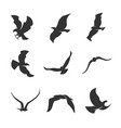set silhouettes birds in motion on a white vector image vector image