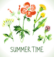 watercolor floral greeting card vector image
