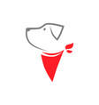 dog with red bandana on white backdrop vector image vector image