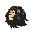 wild lion head logo template design vector image vector image