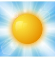 abstract summer sun vector image
