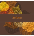 background greeting card with stylized autumn vector image vector image