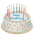 birthday cake vector image vector image