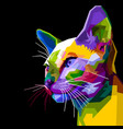 colorful siamese cat on pop art style vector image vector image