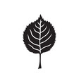rose leaf vector image vector image