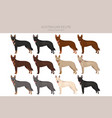 australian kelpie all colours clipart different vector image vector image