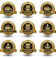set of 100 percent satisfaction guaranteed vector image vector image