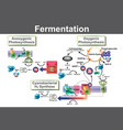 fermentation vector image vector image
