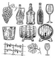 wine set of bottles grape glass wood vector image