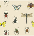 hand drawn seamless pattern with various insects vector image