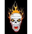 burning skull vector image vector image