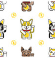 lucky cat with bulldog corgi yorkshire pattern vector image