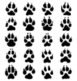 print of dogs paws vector image vector image