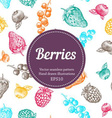 seamless berries background vector image