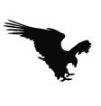 eagle hunting vector image vector image