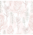 hand-drawn flowers protea and eucalyptus seamless vector image