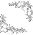 frame with lemon fruits and flowers vector image