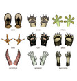 paws of animals or footprints and wildlife bird vector image