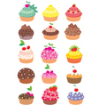 cupcakes vector image vector image