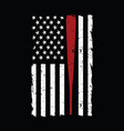american baseball flag vector image