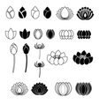 set of lotus flowers vector image