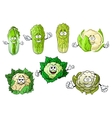 cartoon cauliflowers and chinese cabbage vector image